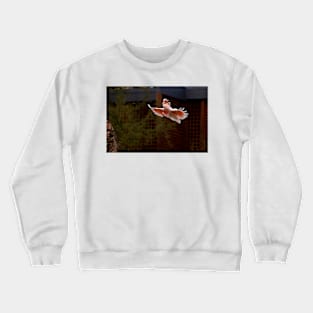 Major Mitchell In Flight Crewneck Sweatshirt